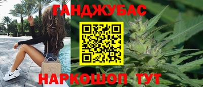 крисы Можга
