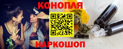 крисы Можга