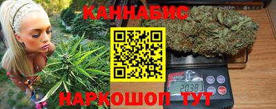 крисы Можга