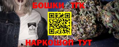 крисы Можга