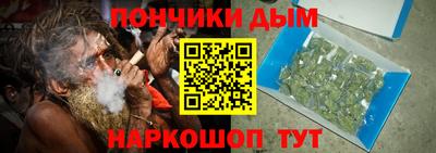 крисы Можга