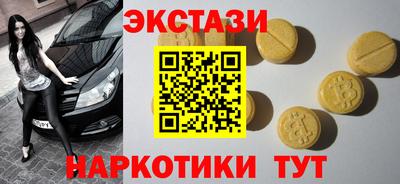 крисы Можга