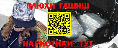 крисы Можга